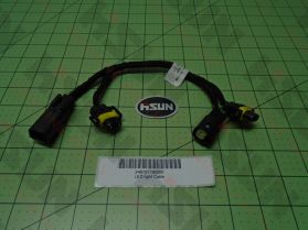 Headlight Wire Harness