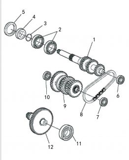 VECTOR 550 - Transmission Gears