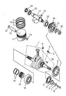 SECTOR 550 - Crankshaft & Piston Assembly